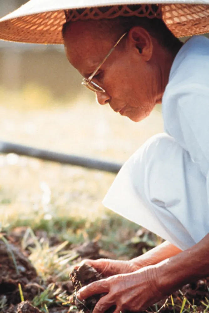 คุณยายพรวนดินไป ระลึกชาติไป